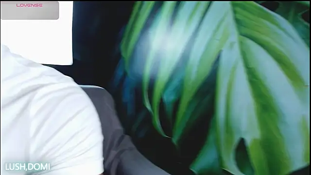 Snapshot of LiamByrne chatting on 21, 3, 2026 LiamByrne online show from 21, 3, 2026