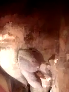 Snapshot of Ayush_pussy_fucker chatting on 23, 11, 2025 Ayush pussy fucker online show from 23, 11, 2025