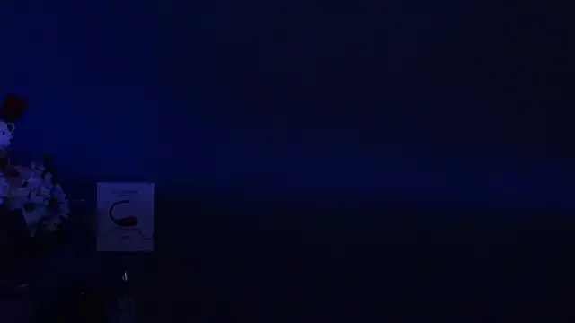 Amesthyst destiny online show from 22, 3, 2025