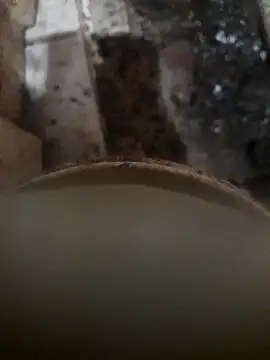 Snapshot of Agusdsm chatting on 15, 4, 2026 Agusdsm online show from 15, 4, 2026