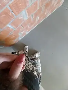 MaksDzubaV online show from 7, 3, 2026