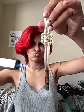 Harley cams online show from 17, 3, 2025