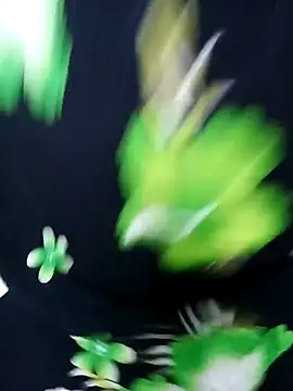 tamiltady online show from 12, 9, 2025