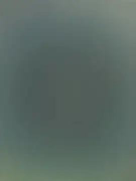 Alicia Montess online show from 19, 12, 2025