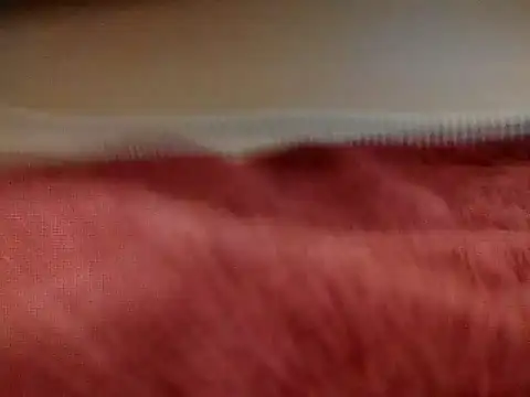 sexiebabi online show from 16, 3, 2026