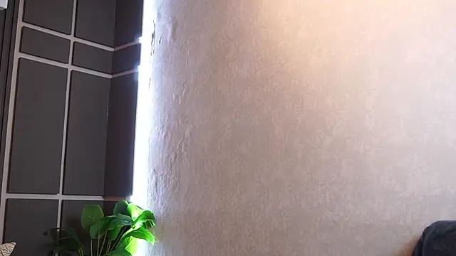 Susan wall online show from 6, 3, 2026