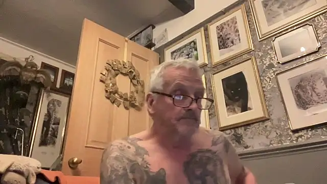 poggles online show from 17, 3, 2026