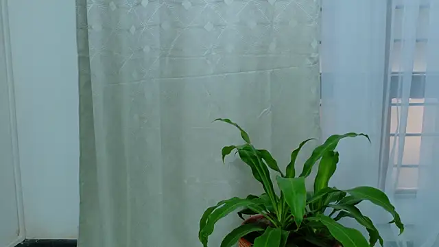 EbonyHorrny online show from 15, 9, 2025