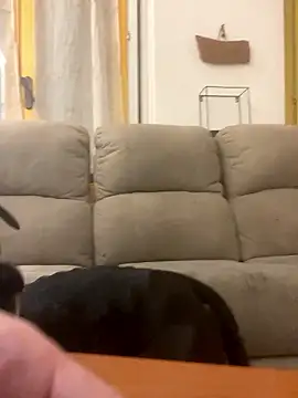 BestSexForYou online show from 16, 1, 2026