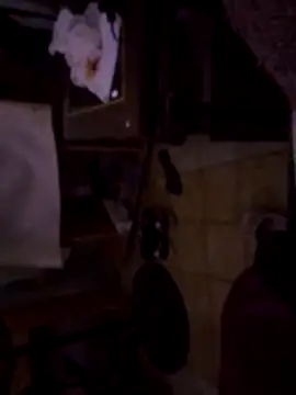 DannyRosarioxxx online show from 14, 11, 2025