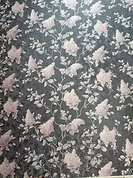 Dari Toy  online show from 7, 11, 2025