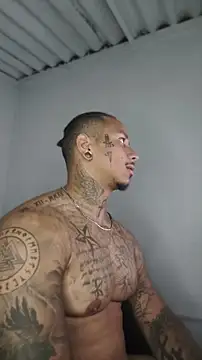 David tatto1 online show from 15, 5, 2026