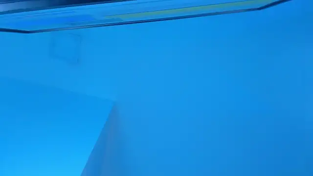 Sebax Young online show from 29, 11, 2025