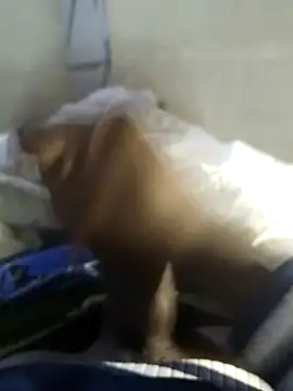 92donis online show from 20, 11, 2025