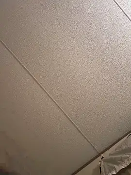 Snapshot of daddyLeeandprincessmarie chatting on 7, 11, 2025 daddyLeeandprincessmarie online show from 7, 11, 2025