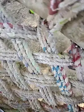 Snapshot of Naveen9100Unity chatting on 12, 4, 2026 Naveen9100Unity online show from 12, 4, 2026