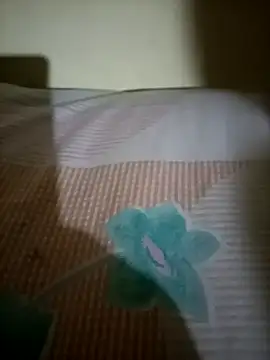 Nishi-2 online show from 25, 9, 2025