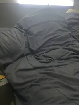 pophiboy online show from 15, 11, 2025