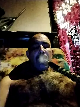 salimbasha online show from 30, 10, 2025