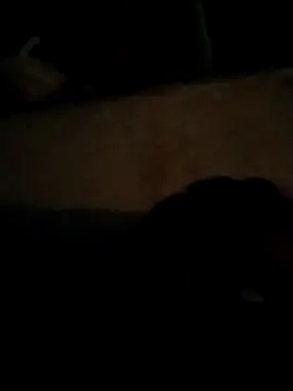 Wild dj69 online show from 8, 1, 2026