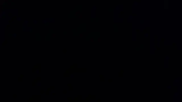 NightlyPeephole online show from 10, 10, 2025