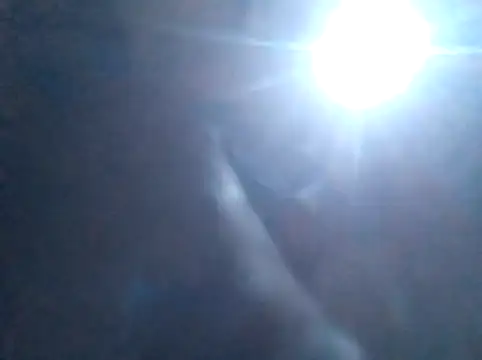 S C1 online show from 5, 2, 2026