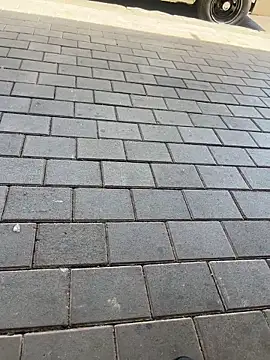 Snapshot of kamo012000 chatting on 11, 2, 2026 kamo012000 online show from 11, 2, 2026