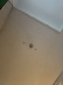 cam11 07 online show from 8, 4, 2026