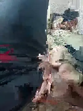 Snapshot of svvagesexyy chatting on 13, 1, 2026 svvagesexyy online show from 13, 1, 2026