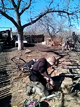 Snapshot of Alexilon chatting on 10, 3, 2026 Alexilon online show from 10, 3, 2026