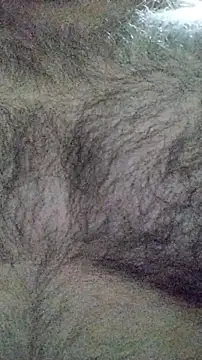 Snapshot of LeoMaduroSP chatting on 16, 1, 2026 LeoMaduroSP online show from 16, 1, 2026