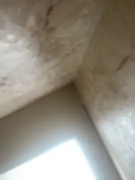 Noa Todokoro online show from 16, 10, 2025