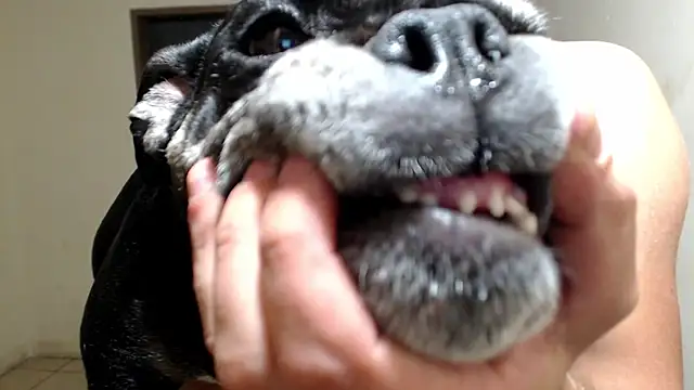 BlondZilla online show from 18, 3, 2026