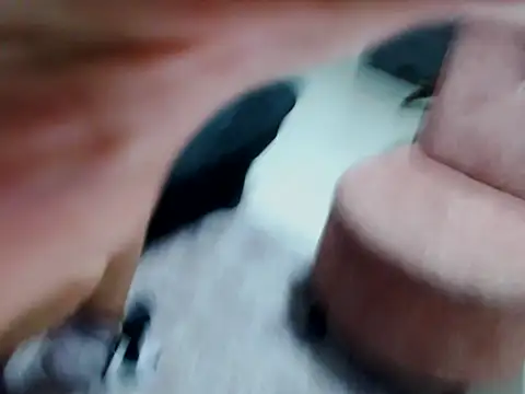 Snapshot of kata-gomez chatting on 21, 2, 2026 kata-gomez online show from 21, 2, 2026