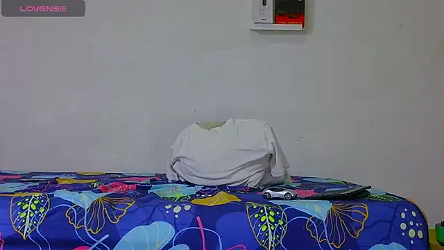 dylan apol0 online show from 17, 3, 2026