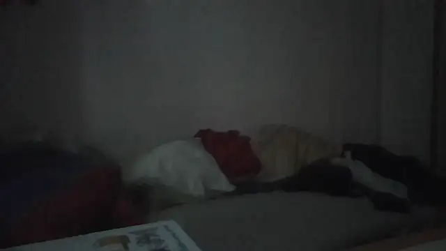 ARTANIS20 online show from 11, 1, 2026