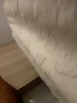 Snapshot of DoctorArabe3 chatting on 12, 2, 2026 DoctorArabe3 online show from 12, 2, 2026