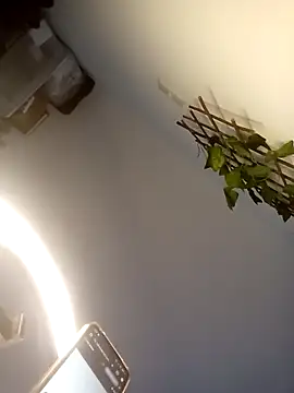 Snapshot of Loiroatv36 chatting on 3, 4, 2026 Loiroatv36 online show from 3, 4, 2026