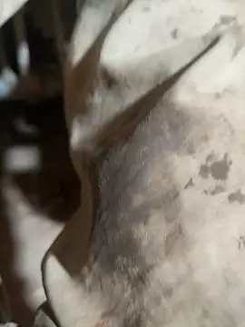 ParousFlow online show from 15, 10, 2025