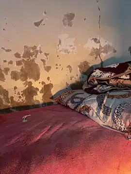 ParousFlow online show from 14, 3, 2026