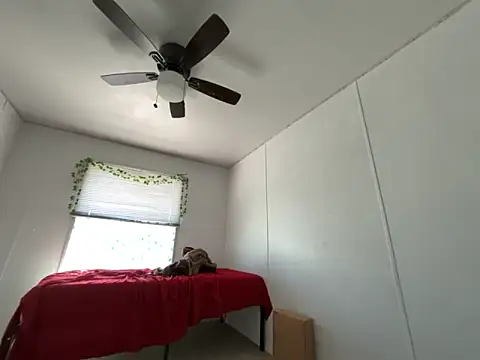 moan4mona online show from 17, 3, 2026