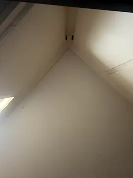 curis4270panda online show from 26, 11, 2025