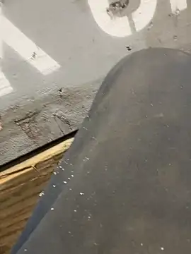 curis4270panda online show from 16, 2, 2026