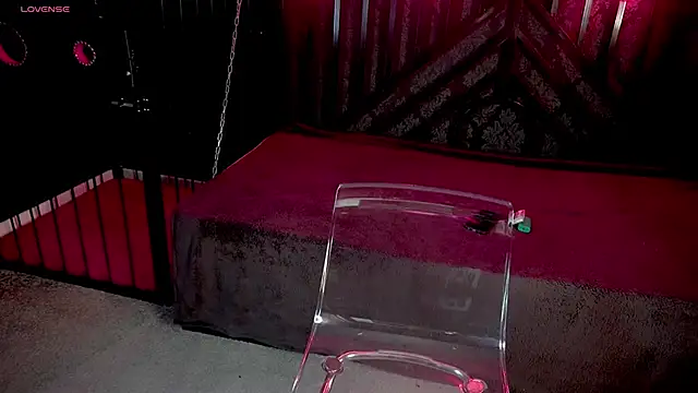 LiviaShy online show from 2, 12, 2025