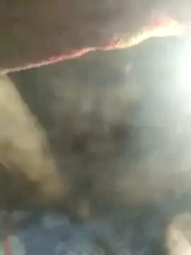 Elvergudisimo online show from 26, 10, 2025