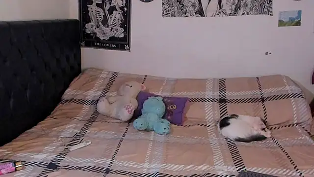 Snapshot of chloe_kisses chatting on 25, 9, 2025 chloe kisses online show from 25, 9, 2025