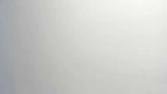 ximena vasquez8 online show from 7, 1, 2026