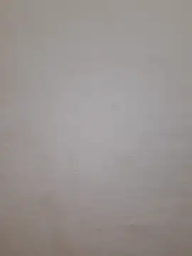 Mahira568 online show from 7, 3, 2026