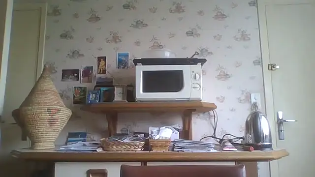 gegevincent online show from 3, 5, 2026
