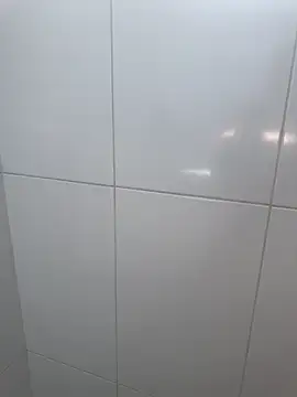 Brinquedo-da-zoe online show from 15, 3, 2026